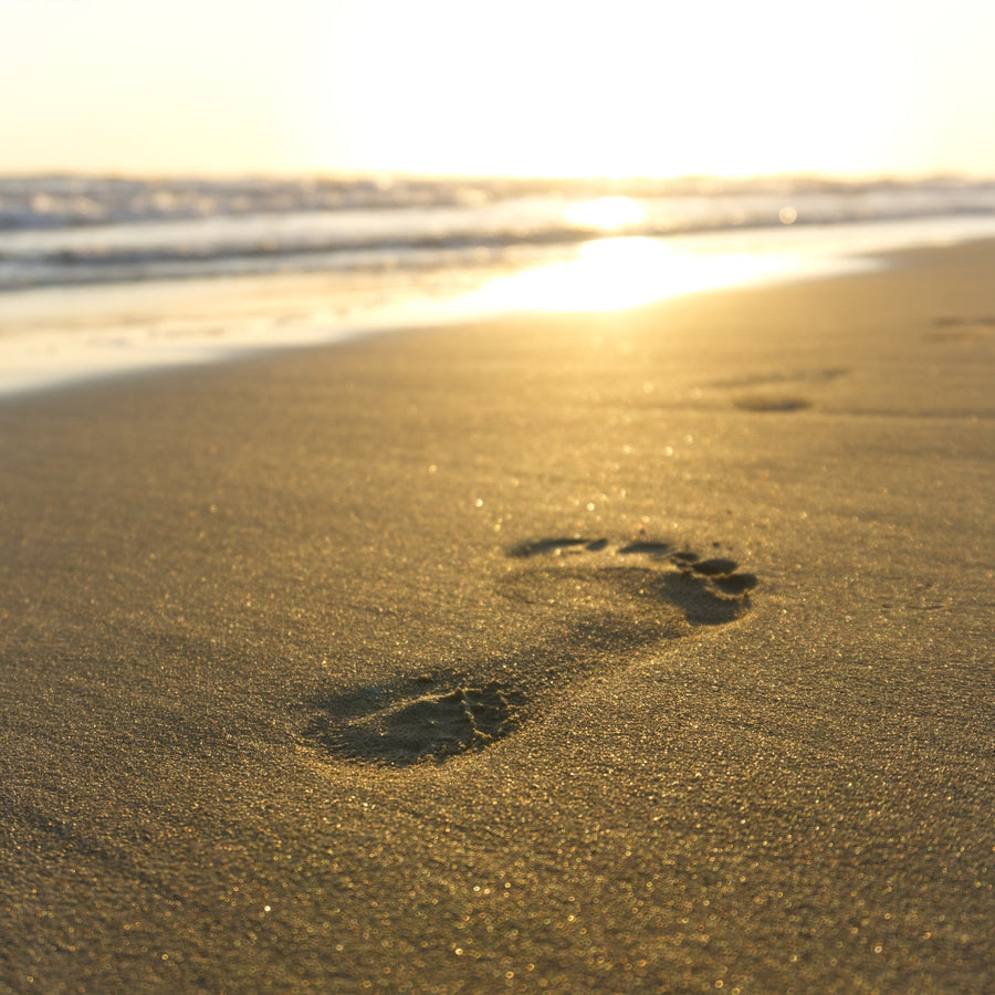 How Do I Anchor Through Grief?