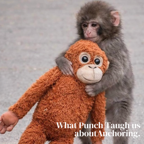 What Punch the Monkey Taught the World About Anchoring